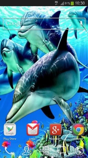 Beautiful Dolphin Magic Touch截图10