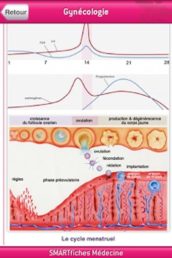 SMARTfiches Gynécologie Free截图3