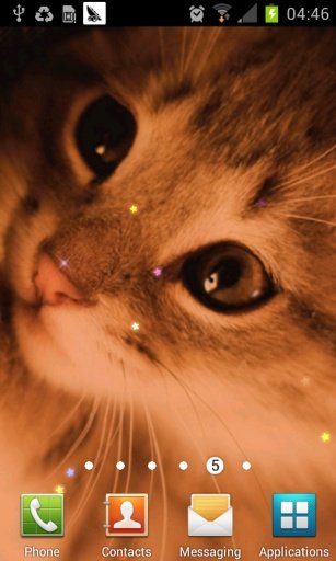 Dream Cat Live Wallpaper截图1