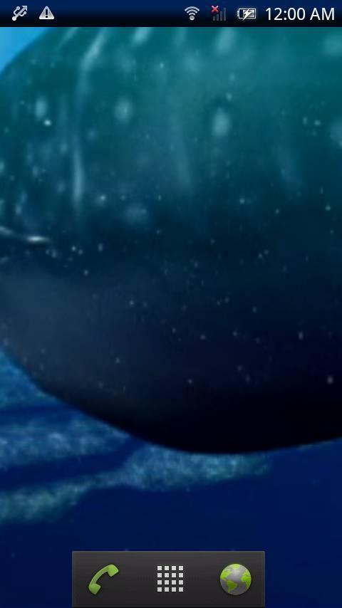 Whale Shark Free截图3