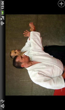 A step to Aikido 1 move DEMO截图