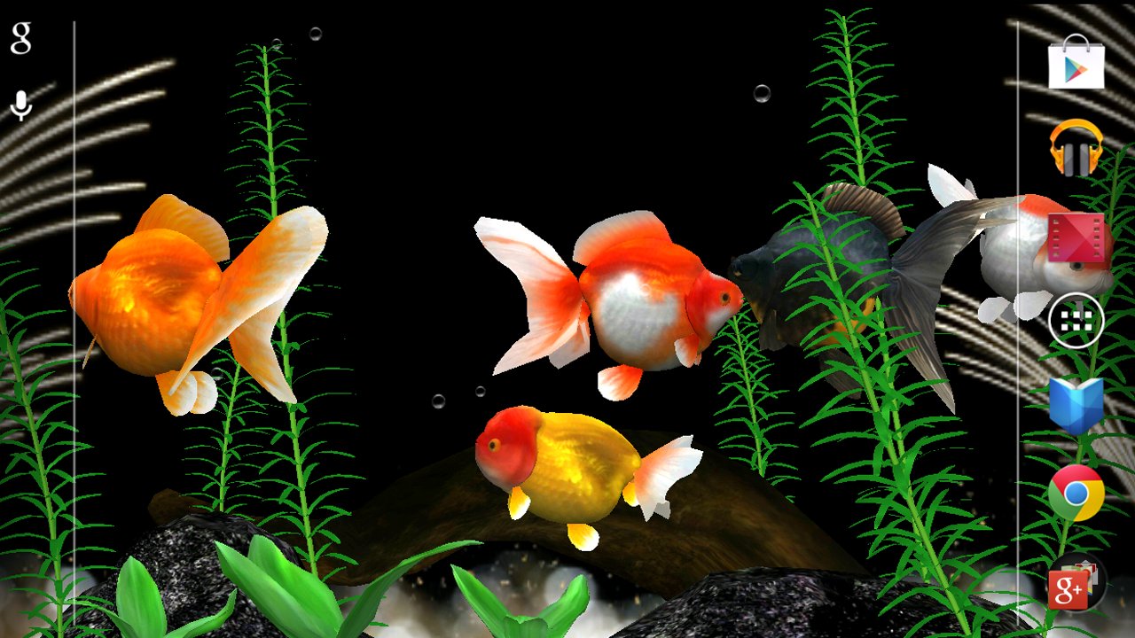 Gold Fish 3D截图4