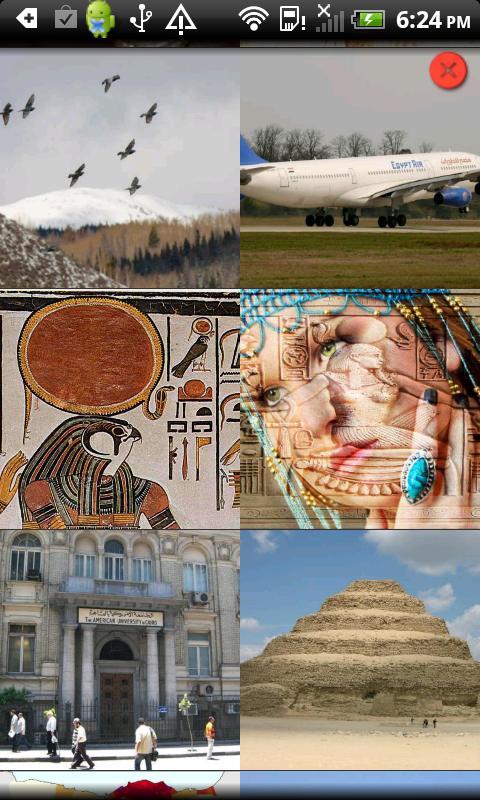 Country Facts Egypt截图1
