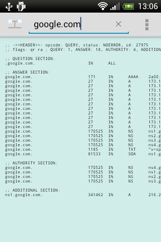 DNS Lookup截图3