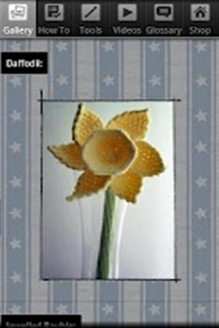 钩针水仙 Crochet Daffodil截图2