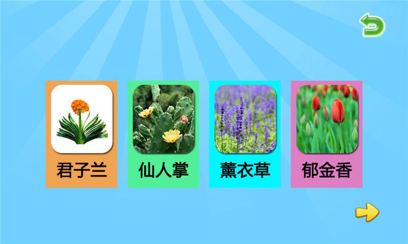 儿童学花卉生长截图2