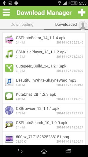 Download Manager Internet Pro截图5