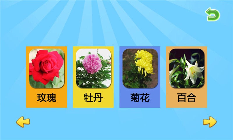 儿童学花卉生长截图5