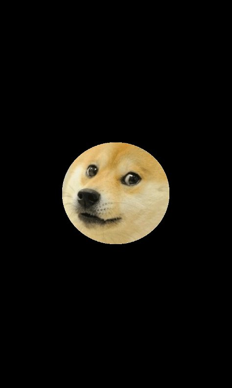 Useless app WoW Doge截图1