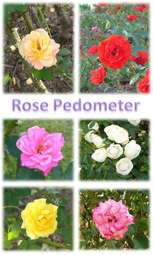 Flower Pedometer 3截图1