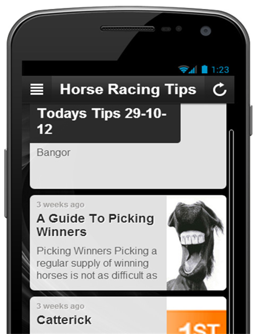 FREE HORSE RACING TIPS截图3