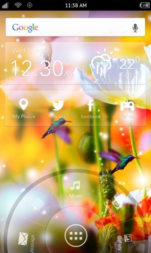 Birds Sunny Live Wallpaper截图5