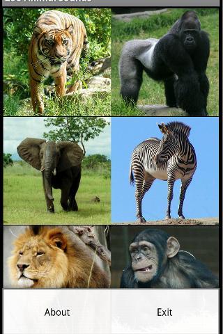 Zoo Animal S...截图2