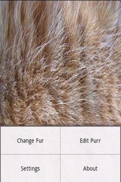 Fur Simulation截图