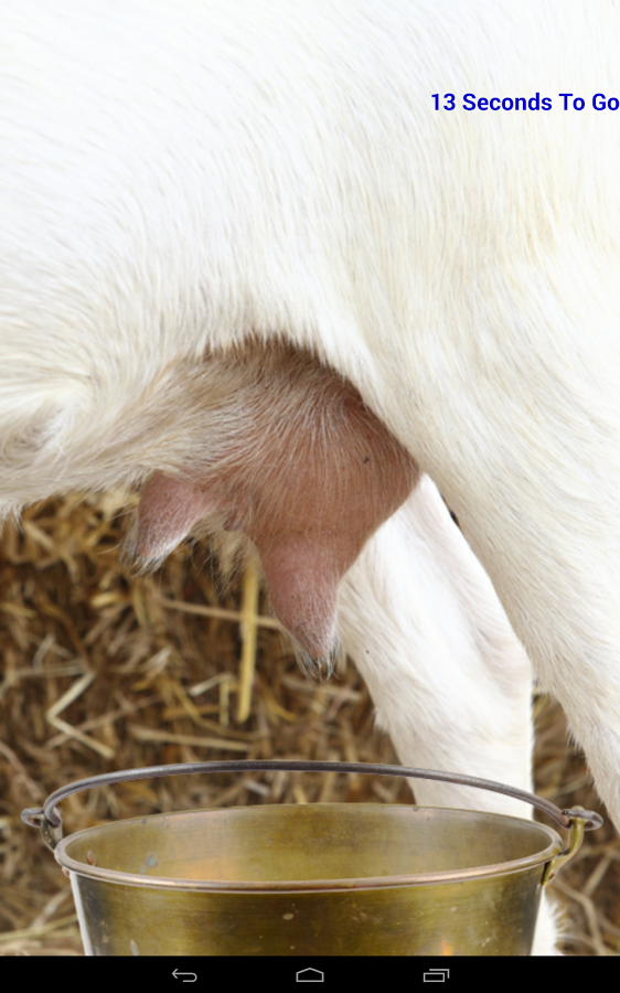 Milk A Goat截图2