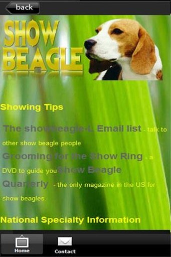 Show Beagle .com截图2