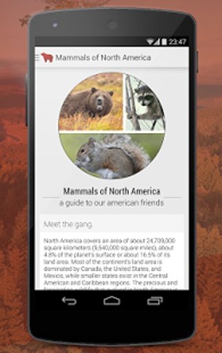 Mammals of North America Free截图5