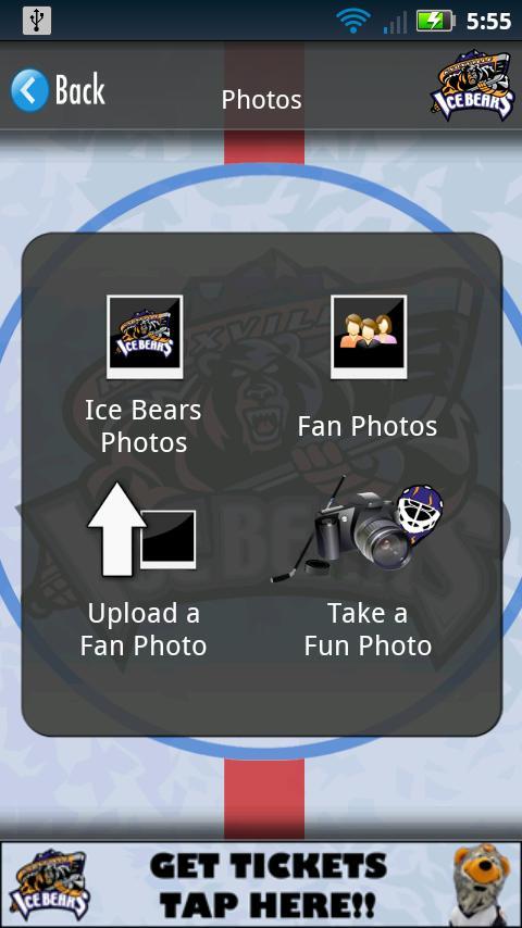 The Knoxville Ice Bears截图5