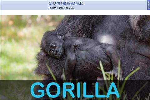 Animal Sounds &amp; Photos截图2