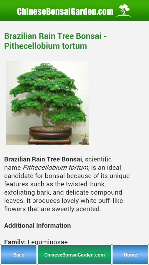 Bonsai Garden截图2