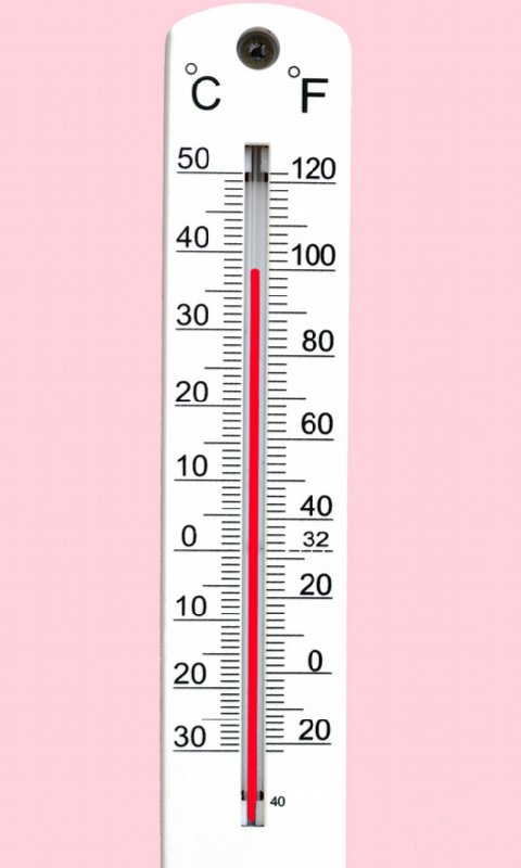 Thermometer or scale Liv...截图3