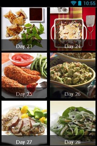 28 Day Diet Meal Plan截图5