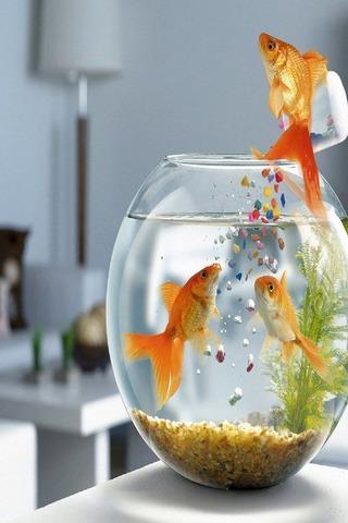 Fish Wallpapers HD截图8