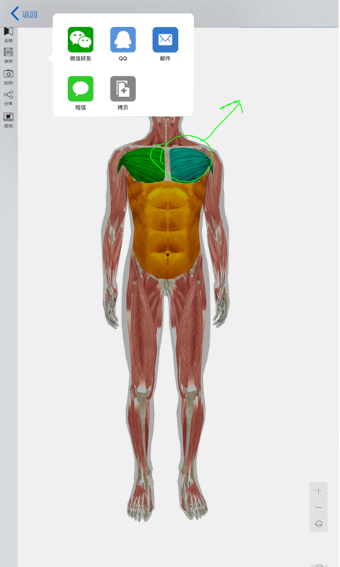 3D人体模型截图5