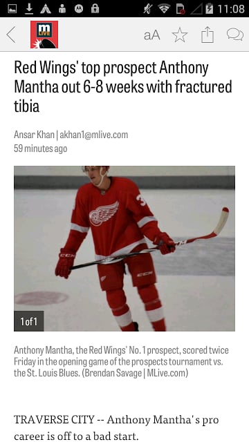 MLive.com: Red Wings News截图1