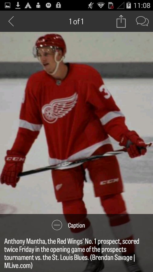 MLive.com: Red Wings News截图4