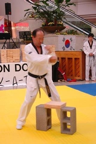 Taekwondo Forms截图4