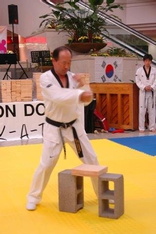 Taekwondo Forms截图3
