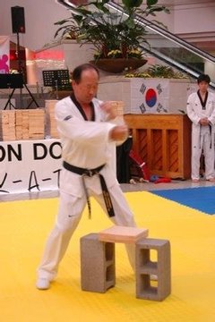 Taekwondo Forms截图