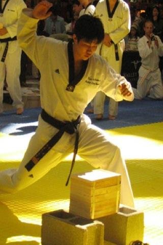 Taekwondo Forms截图1