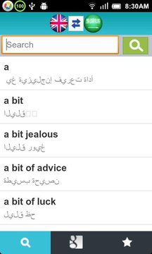 Arabic English Dictionary截图