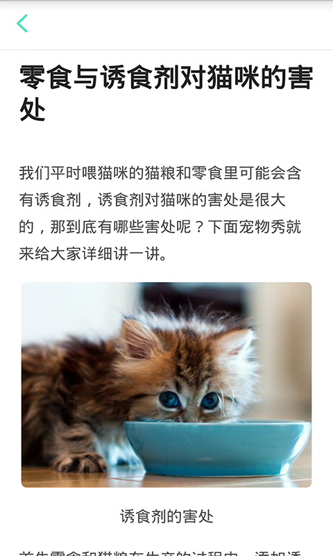 猫咪管家截图3