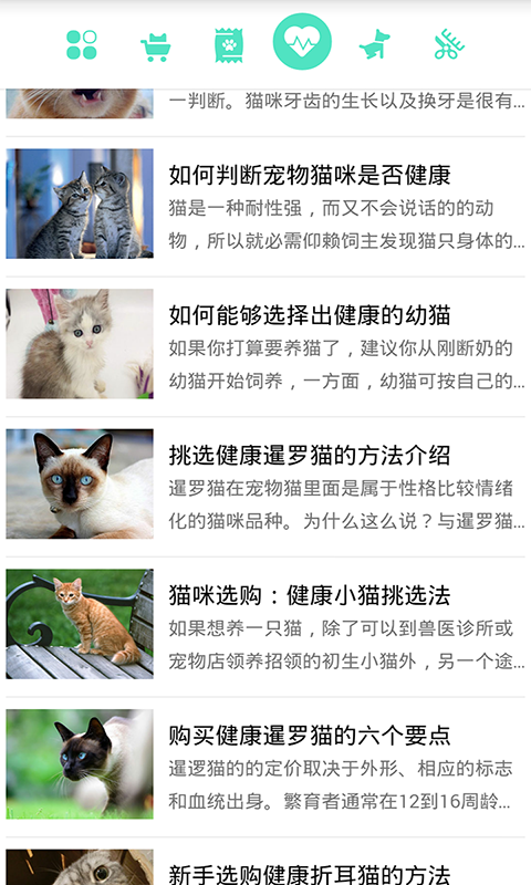 猫咪管家截图4