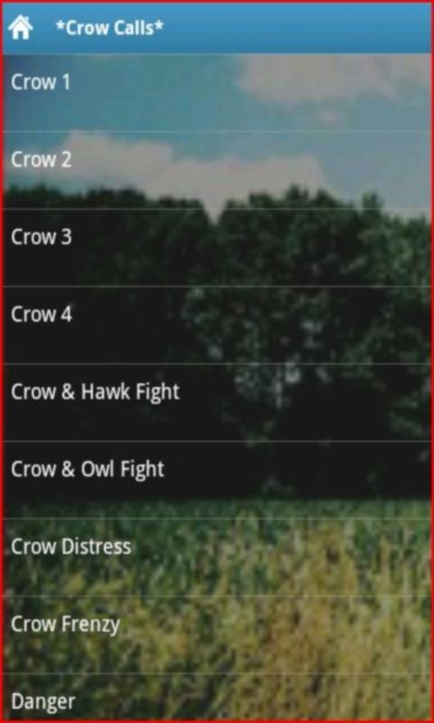 Crow Calls截图1