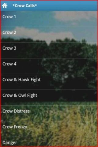 Crow Calls截图3