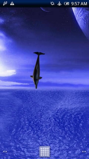 Dolphin Fly Free截图1