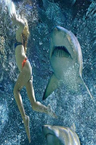 饿了真正的鲨鱼袭击2014截图4