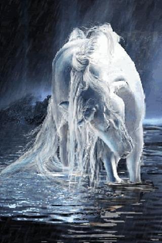 White Unicorn Live Wallpaper截图6