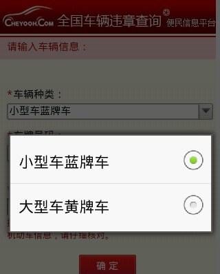 全国交通违章速查截图1