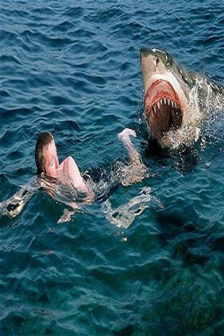 饿了真正的鲨鱼袭击2014截图5