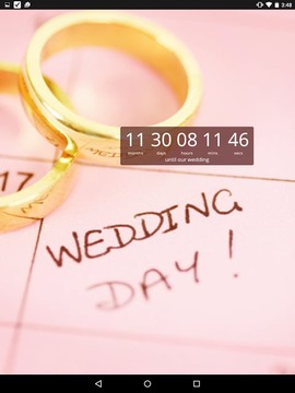 Wedding Countdown Widget截图