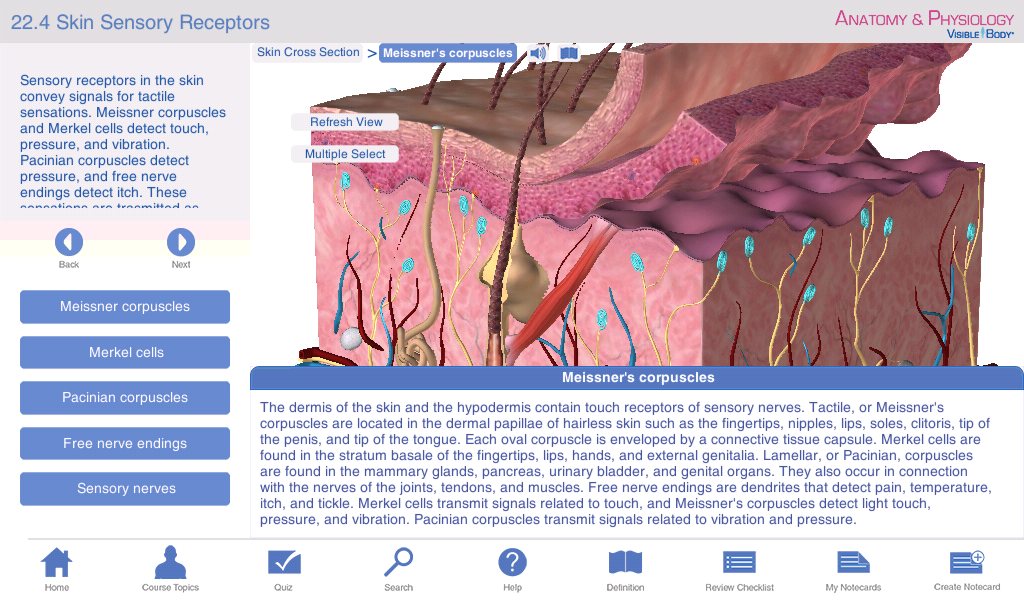 Anatomy & Physiology截图7