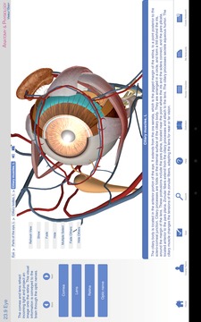 Anatomy & Physiology截图