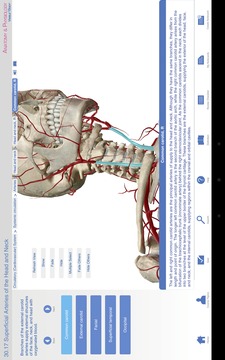 Anatomy & Physiology截图