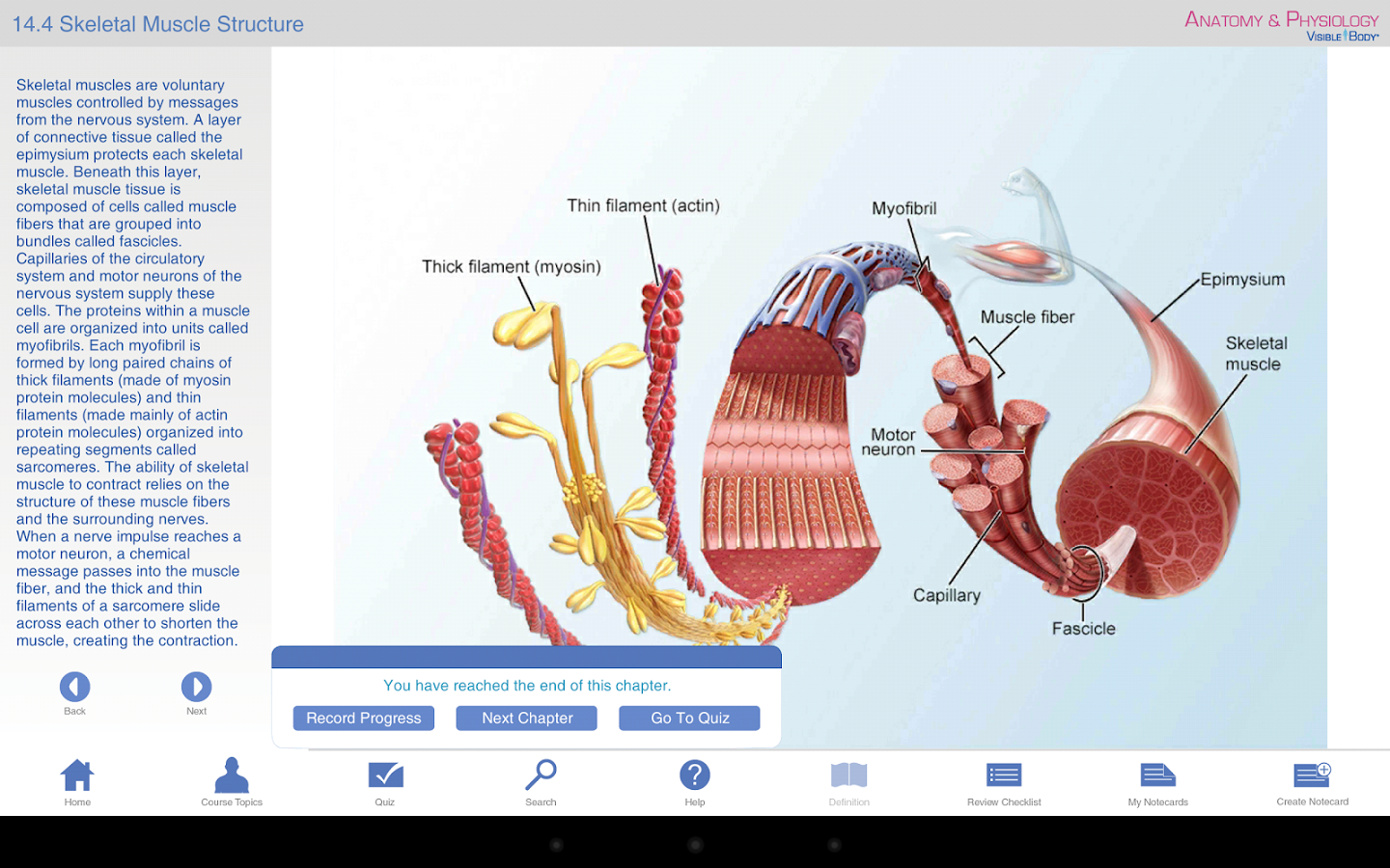 Anatomy & Physiology截图4