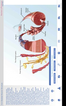 Anatomy & Physiology截图
